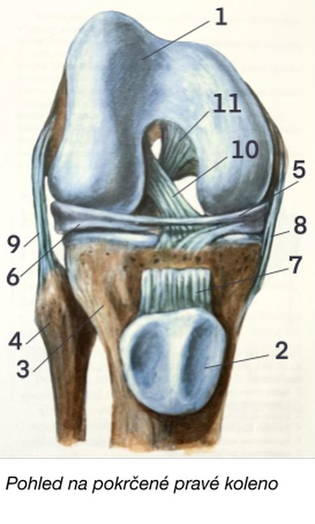 Co dělat po úrazu nebo operaci kolene
